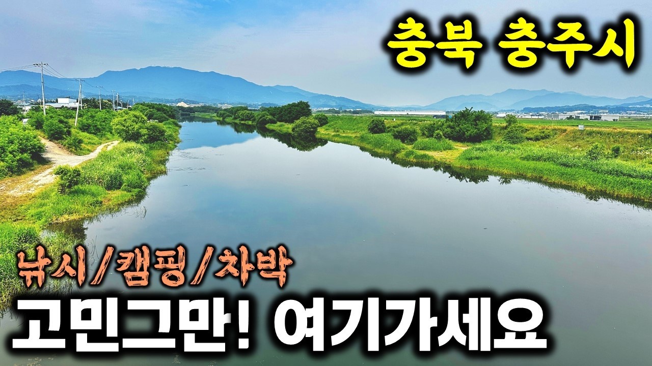 🐟덩어리 붕어가 나오는 숨겨진 최고의 낚시 명소