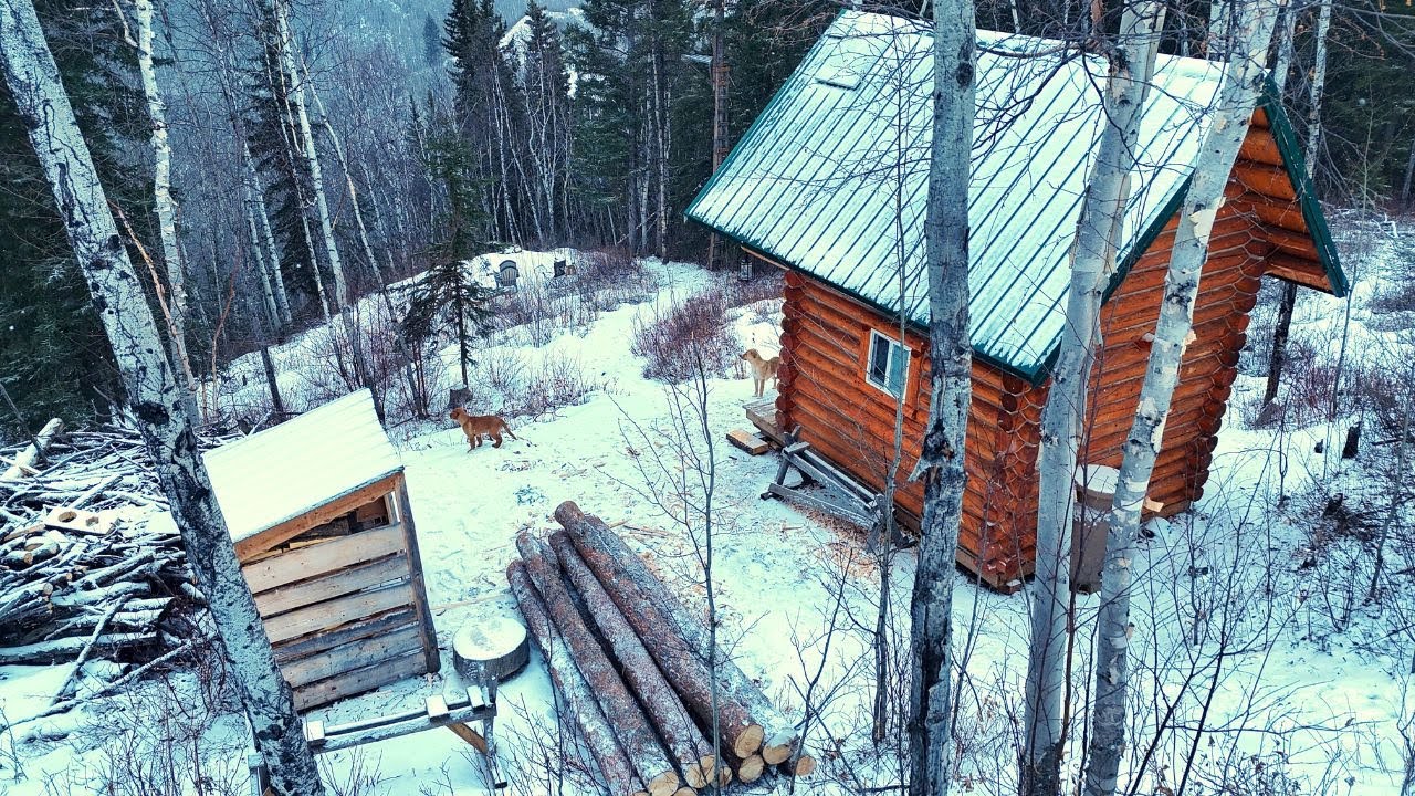 Log Raised Deck/Garden | Harvesting The Logs
