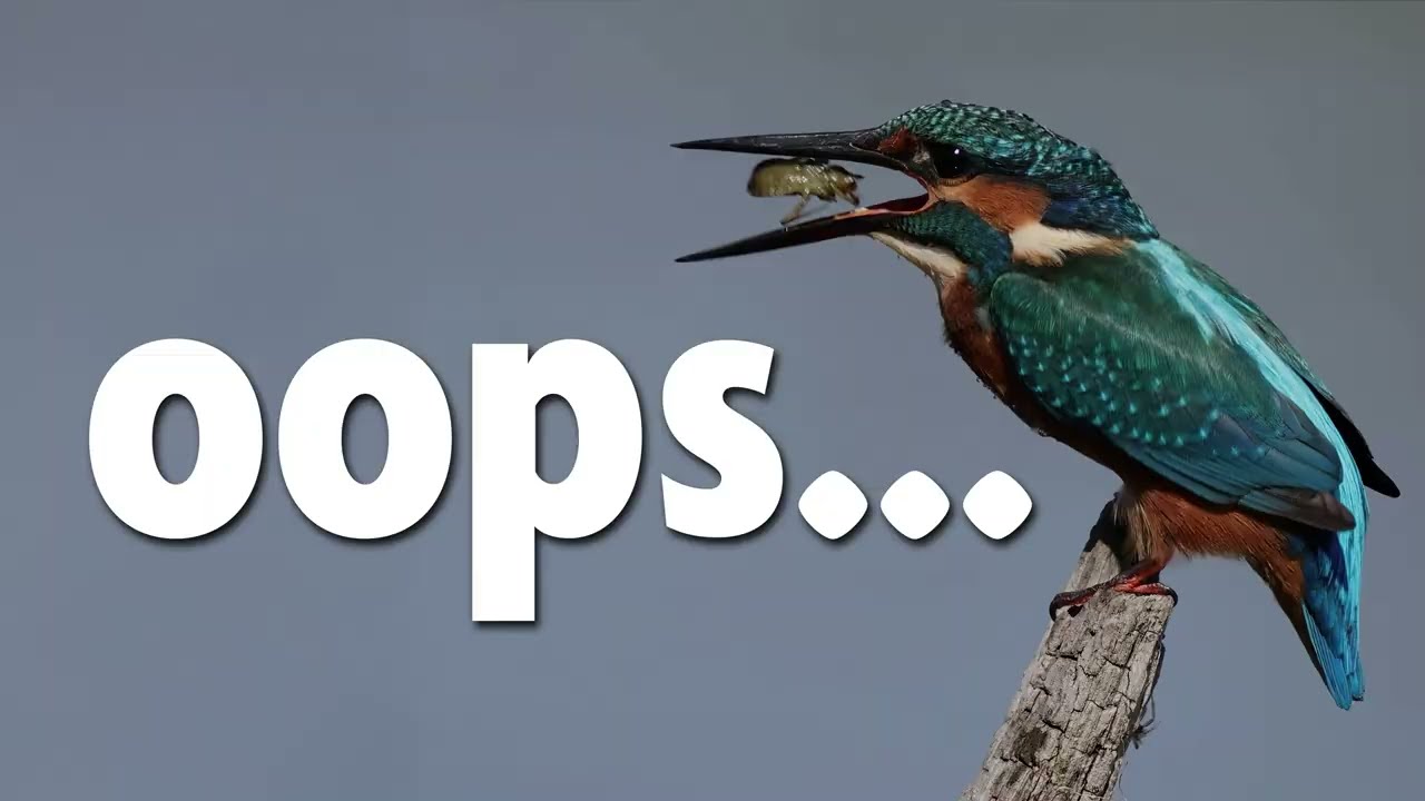 Oops...