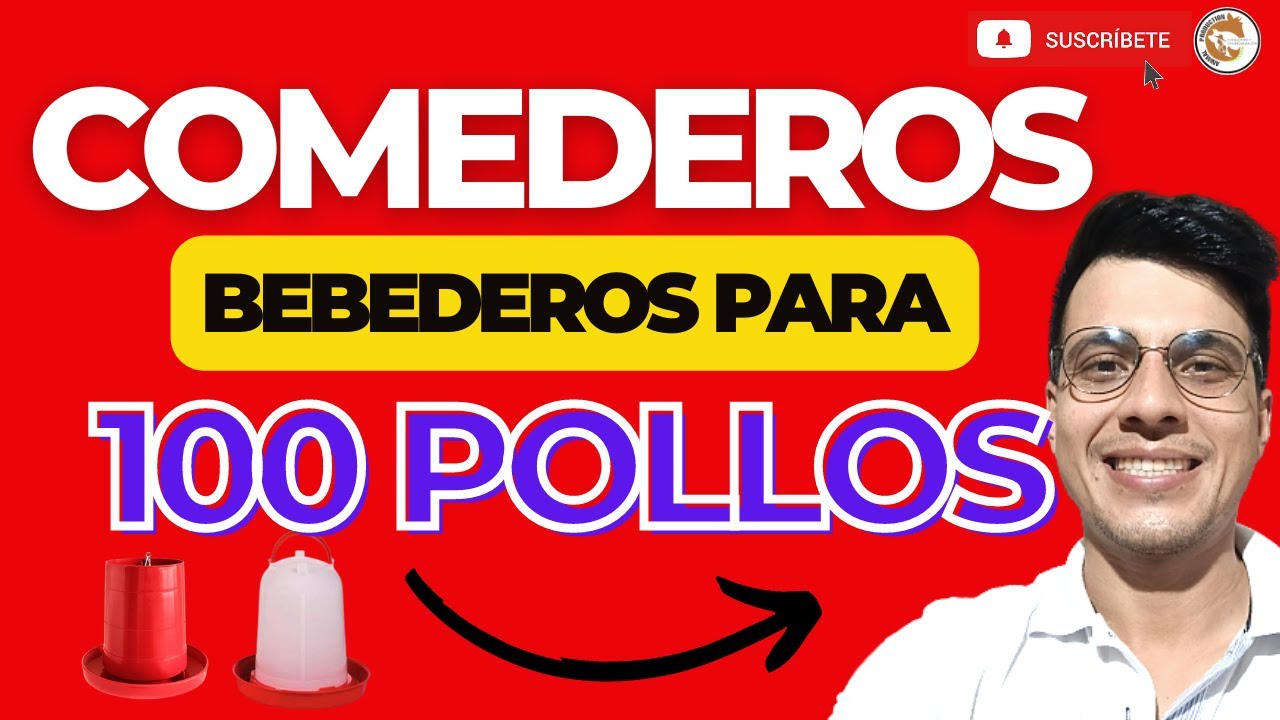 🤩CUANTOS COMEDEROS Y BEBEDEROS PARA 100 POLLOS DE ENGORDE💪