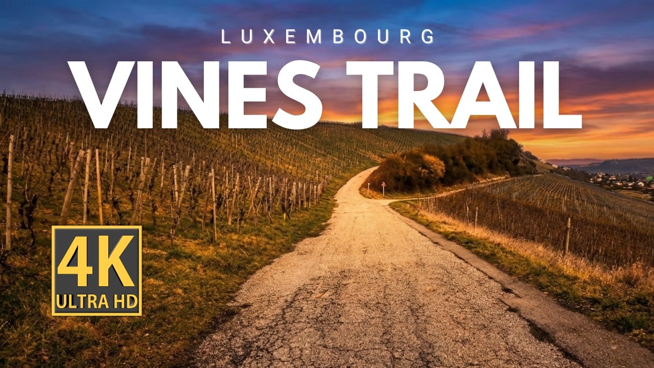 🇱🇺 Luxembourg 4K Silent Walk | Vines Trail Wasserbillig (Quiet Moselle Valley)