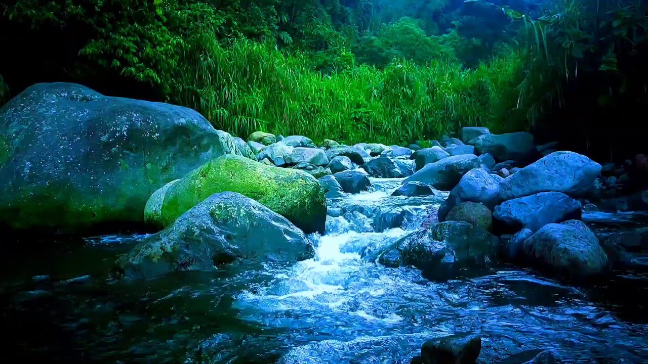 🍃 Peaceful Flowing River ASMR for Sleeping Fast, Relaxation & Mental Calm