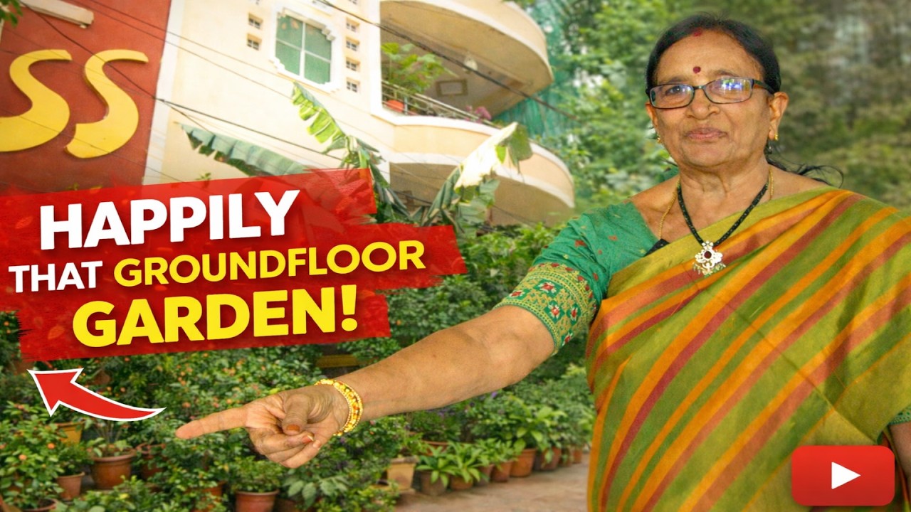 ధనలక్ష్మి గారి త్రిlevel హరితవనం Garden entrance #agriculture #ctg #organic #garden