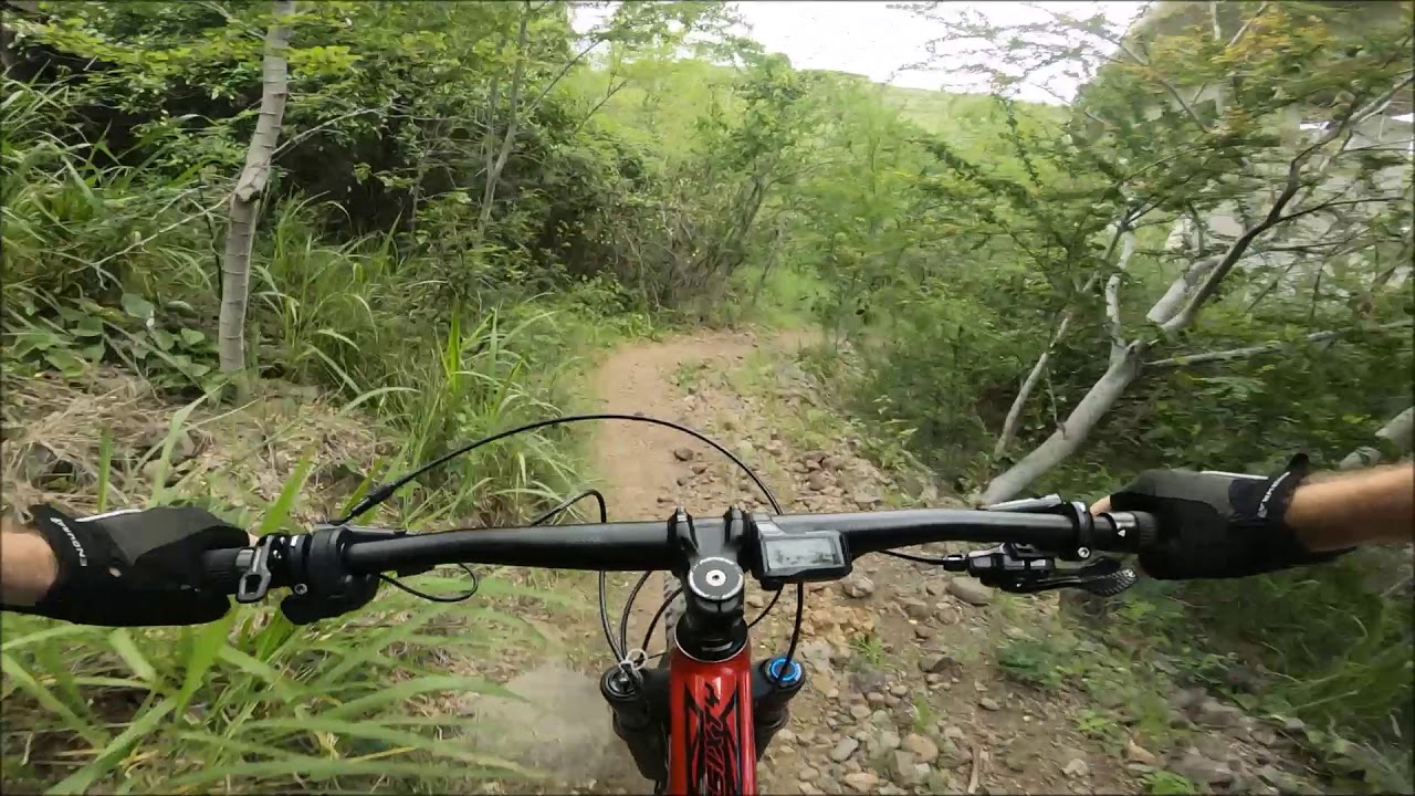 VTT/MTB La Savane - Plateau Caillou. Ile de la Réunion 974