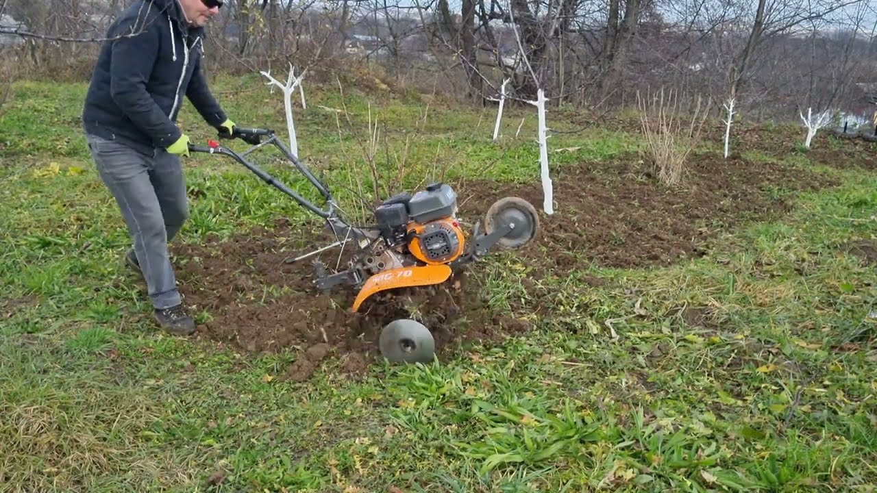Lucrări de toamnă în livadă. O'mac MC70 m-a cocoșat.