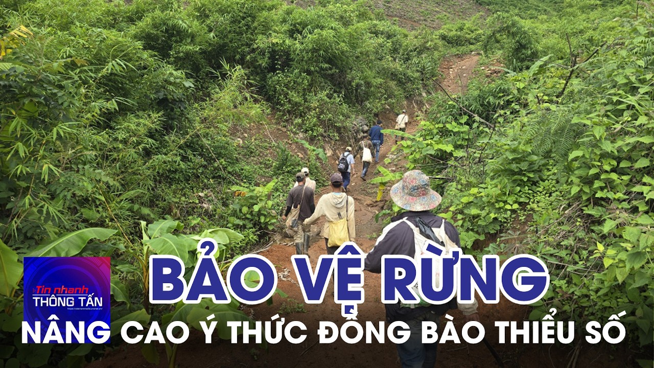 Nâng cao ý thức đồng bào thiểu số bảo vệ rừng vùng biên | Tin nhanh Thông tấn