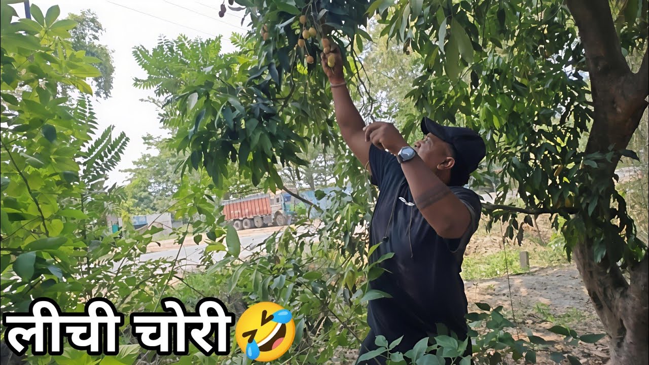 Advance Nahi De Raha hai Transporter🥵 || हमारे बिहार का फेमस लीची🤩 || Truck Driver Vlogs || #vlog