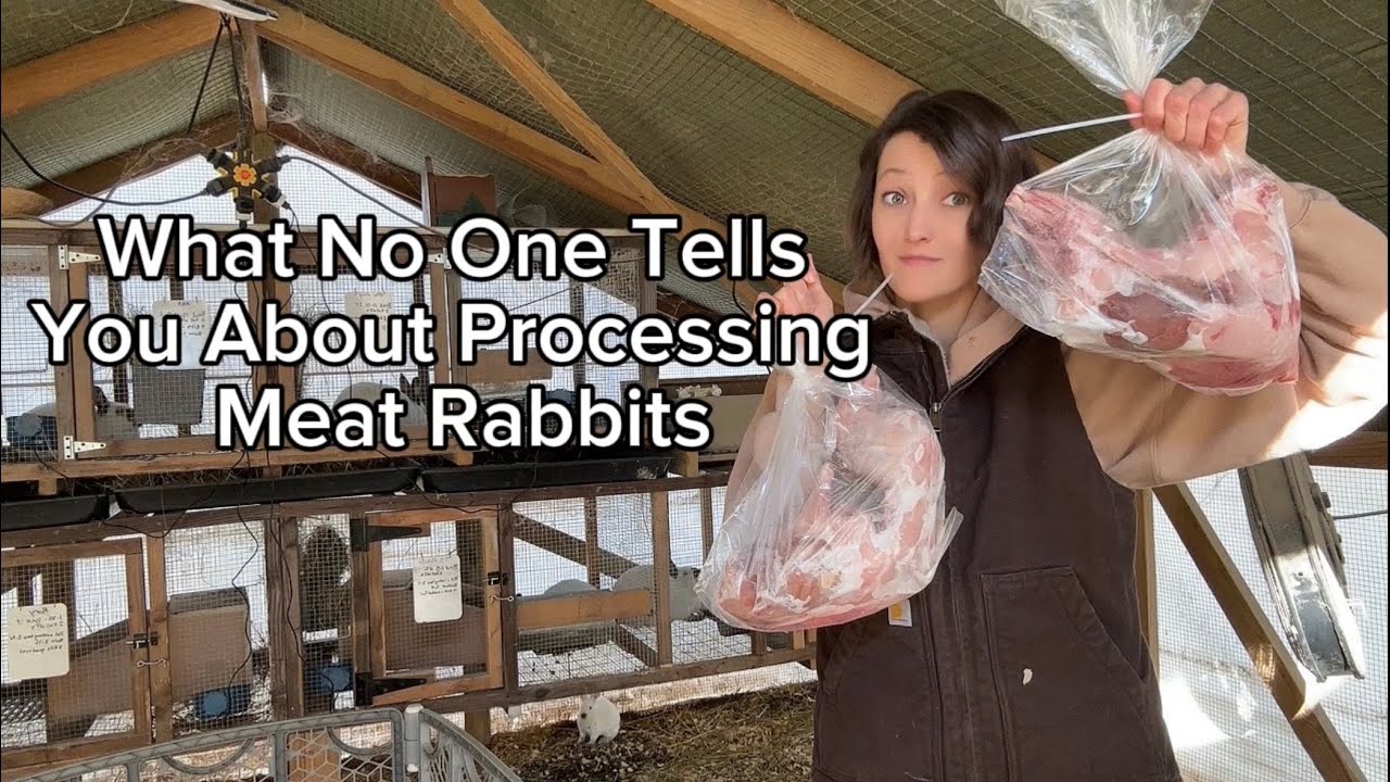 What no one tells you about prossessing meat rabbits ￼