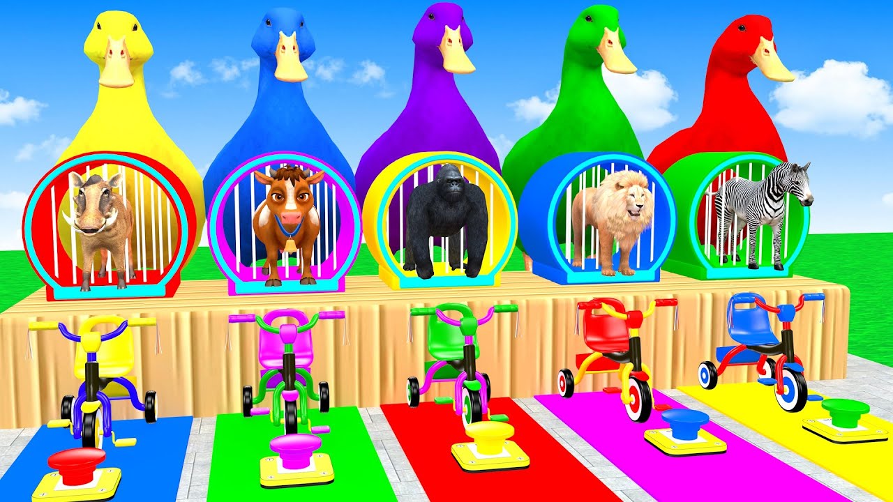 Long Slide Game With Elephant Gorilla Buffalo Hippopotamus Tiger 3d Animal Game Funny 3d Animals