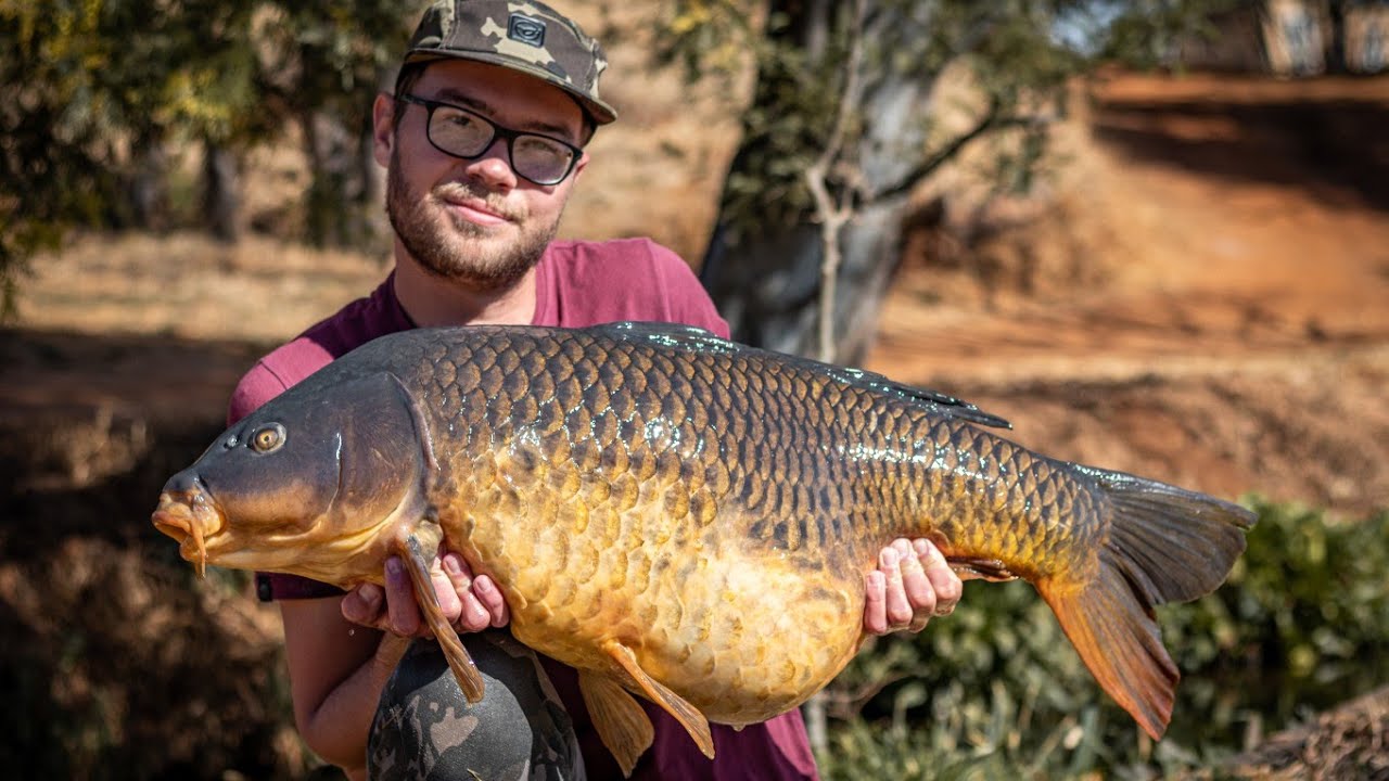 CARP FISHING SOUTH AFRICA | #inSESSION - bergsig trout farm pt.2