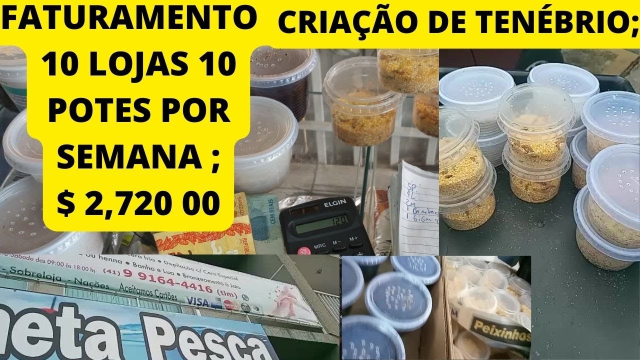 UM DIA COM AILTON MOURA !   ASSIM SE GANHA DINHEIRO !!