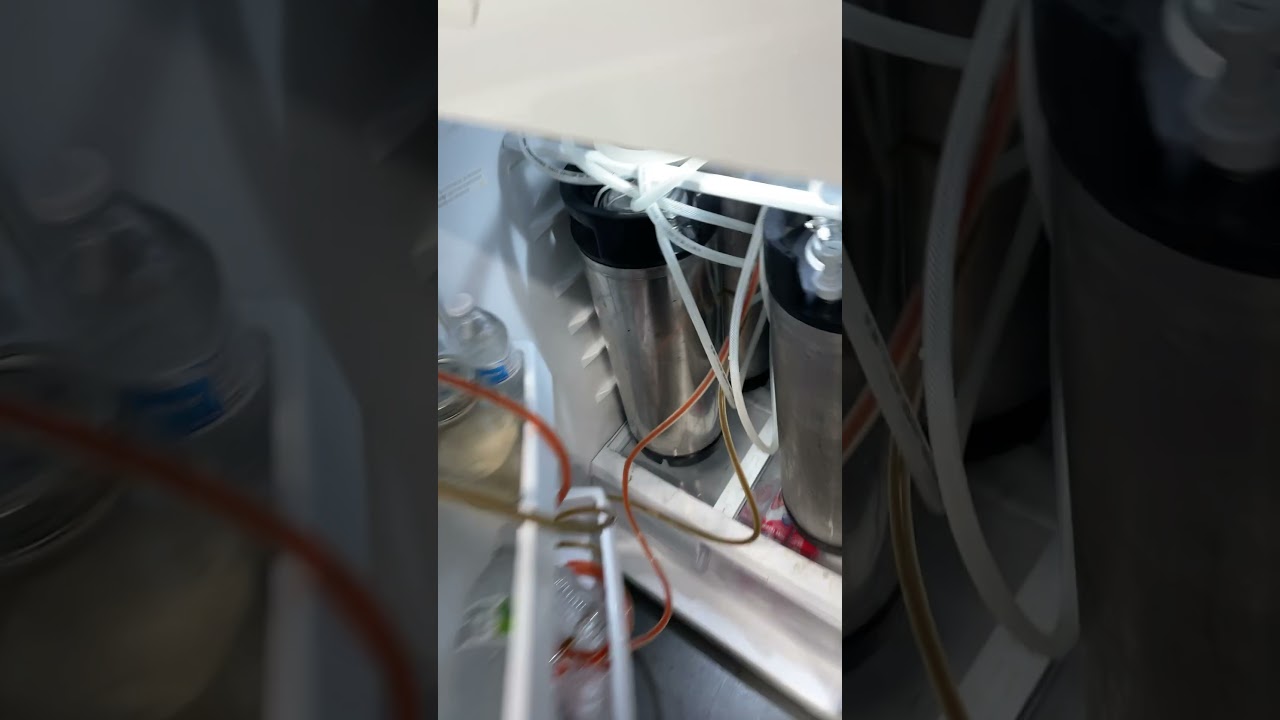 Everyone needs a garage keg fridge.