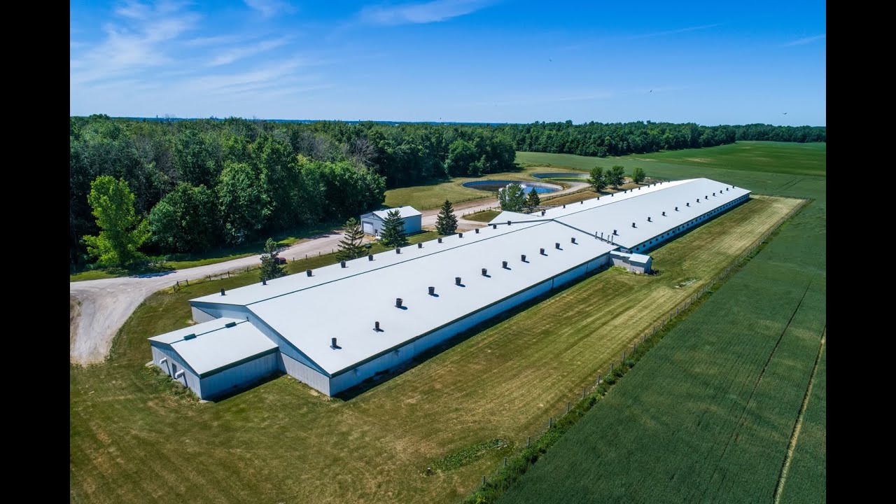 6208 Adare Drive LUCAN (MLS#:  135015)