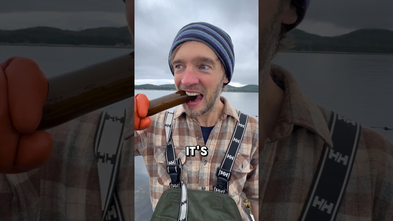 This Kelp Cutting Is Weirdly Addicting!