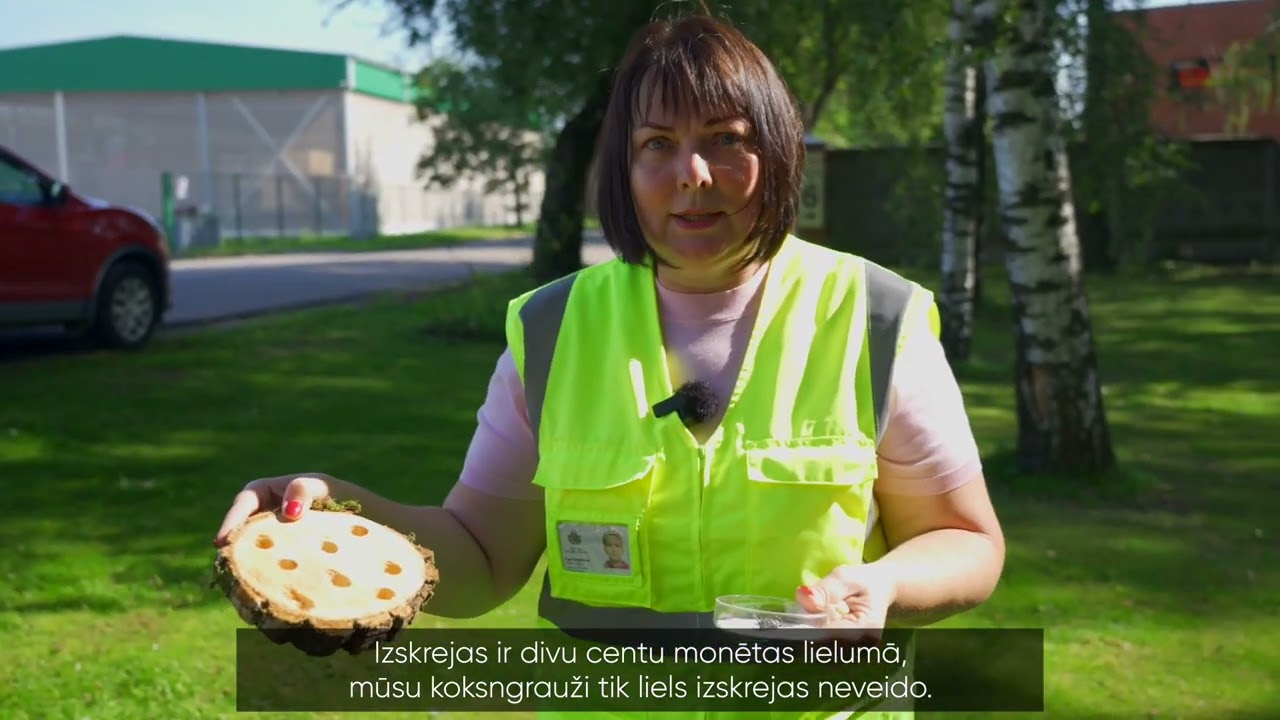 Āzijas ūsainis un priežu koksnes nematode – jauns drauds kokiem Latvijā