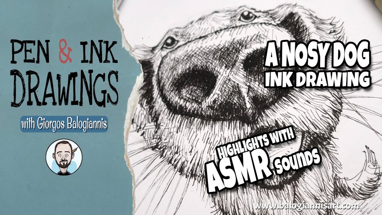 A Nosy Dog Ink Drawing – Highlights with ASMR sounds