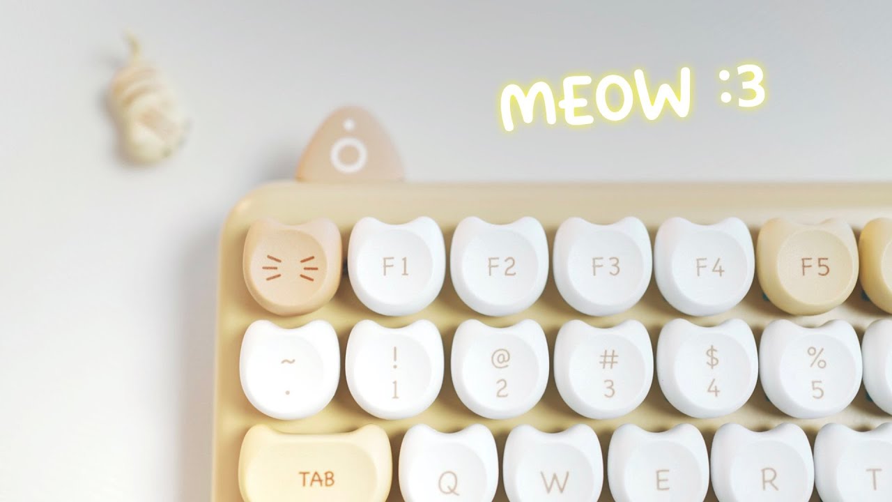 Catboard :3 M80 Purry Cat Wireless Mechanical Keyboard Unboxing & Typing Sounds