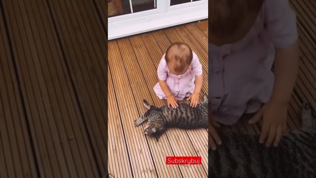 MIŁY KOTEK🐱😁