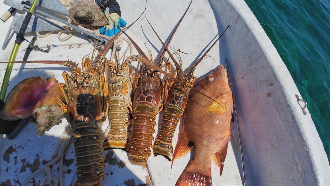 Still Waters, Delicious Lobsters: A Peaceful Catch & Cook Journey