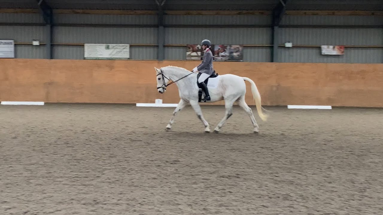 Novice 1 (2024) British Dressage Test