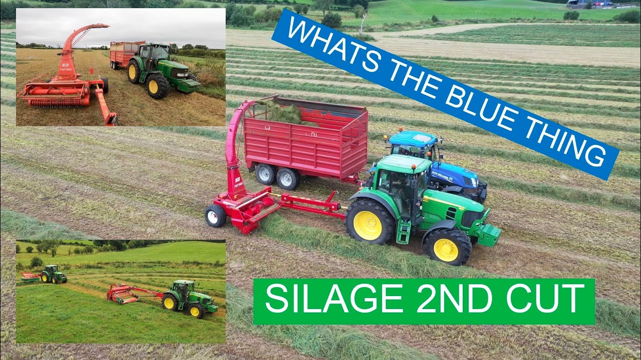 2ND CUT SILAGE, RACE AGAINST RAIN AND A BLUE IMPOSTER