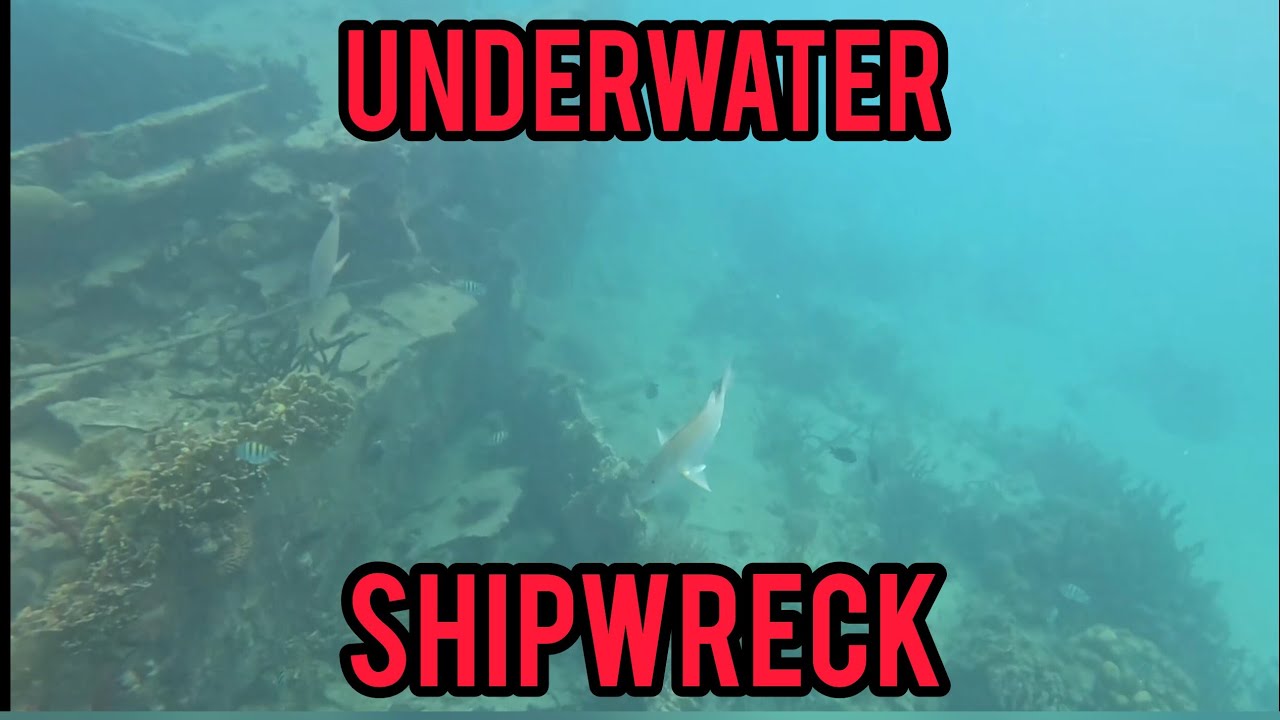 Exploring An Underwater Shipwreck Turned Tropical Fish Paradise