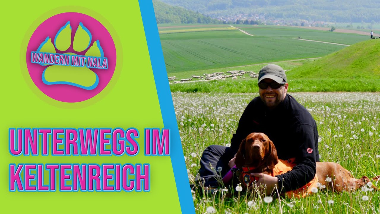 Unterwegs im Keltenreich 🗿 - Glauburg - Keltenwelt - Wandern mit Hund 🐕
