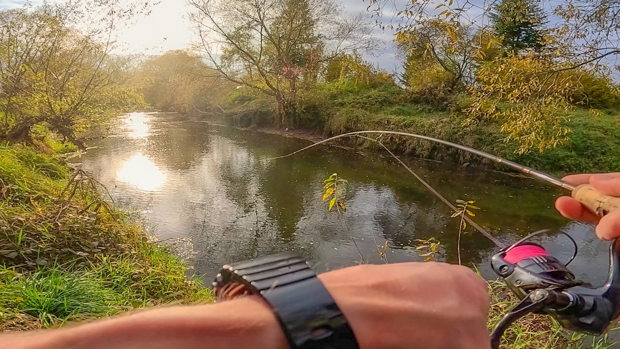 Klenie jesienne i przynęty na offsecie 🍂 ultralight spinning