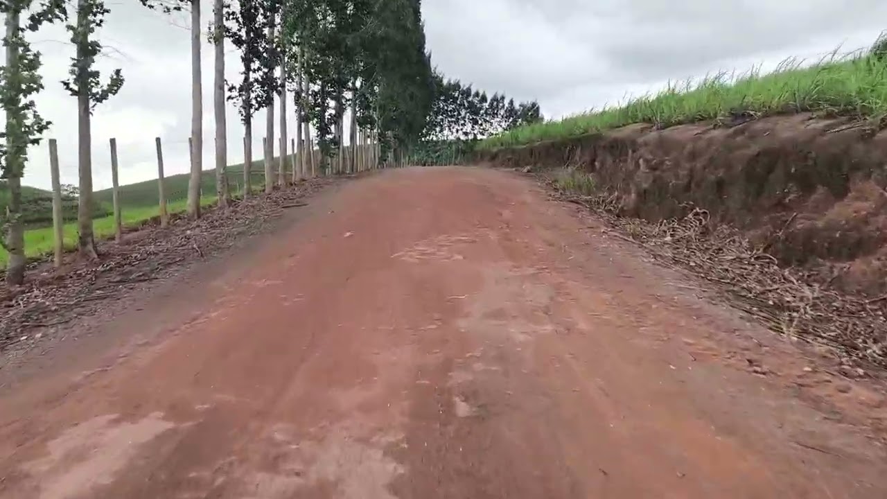 ATUALIZAÇÃO DO CANAL ][ FAZENDA ITAJUBÁ ][ ZONA RURAL DE NOVO LINO-AL ]