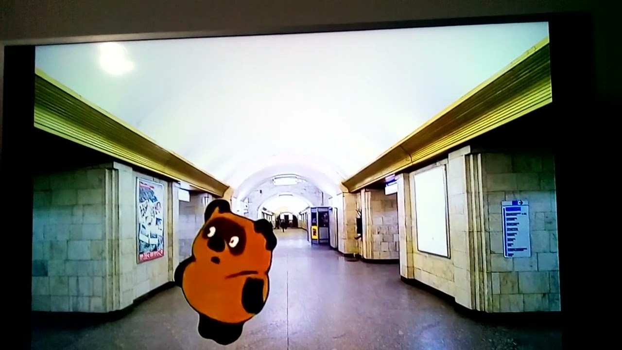 Винни-Пух смотрит на станции Московско Петроградской линии метро!!!