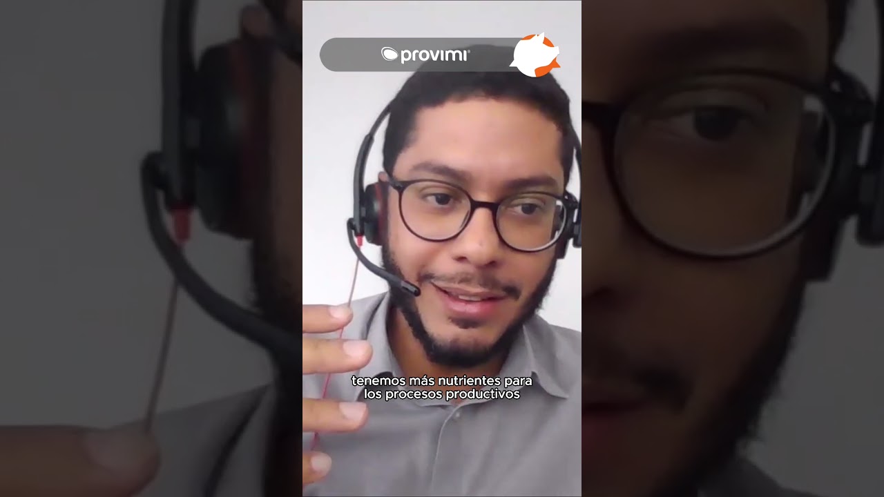 Aditivos nutricionales en dietas de engorde