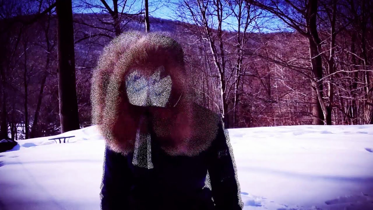 FM Blanket: Tangled Like Strays (Official Video)