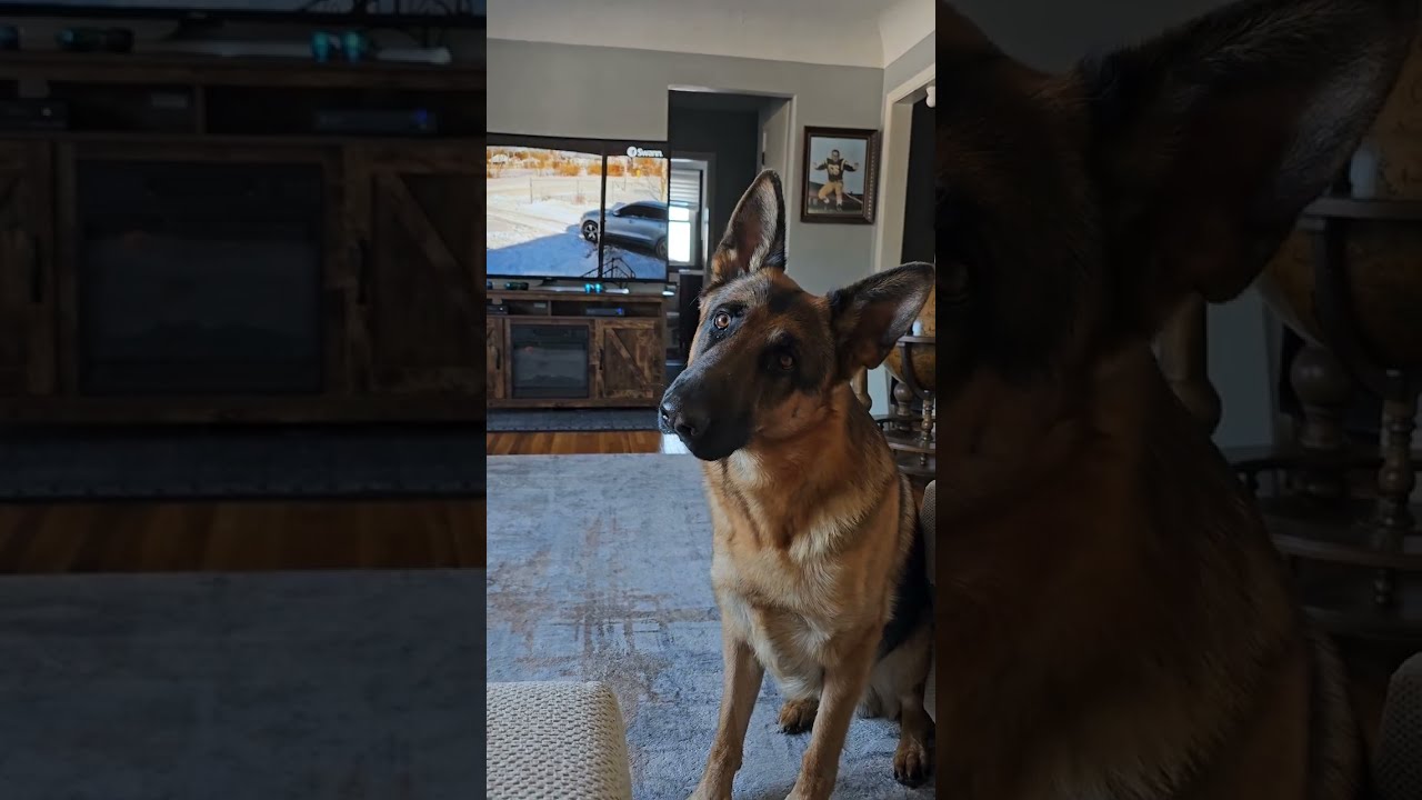 We finally got to play some more hockey. #buddyandmikespal