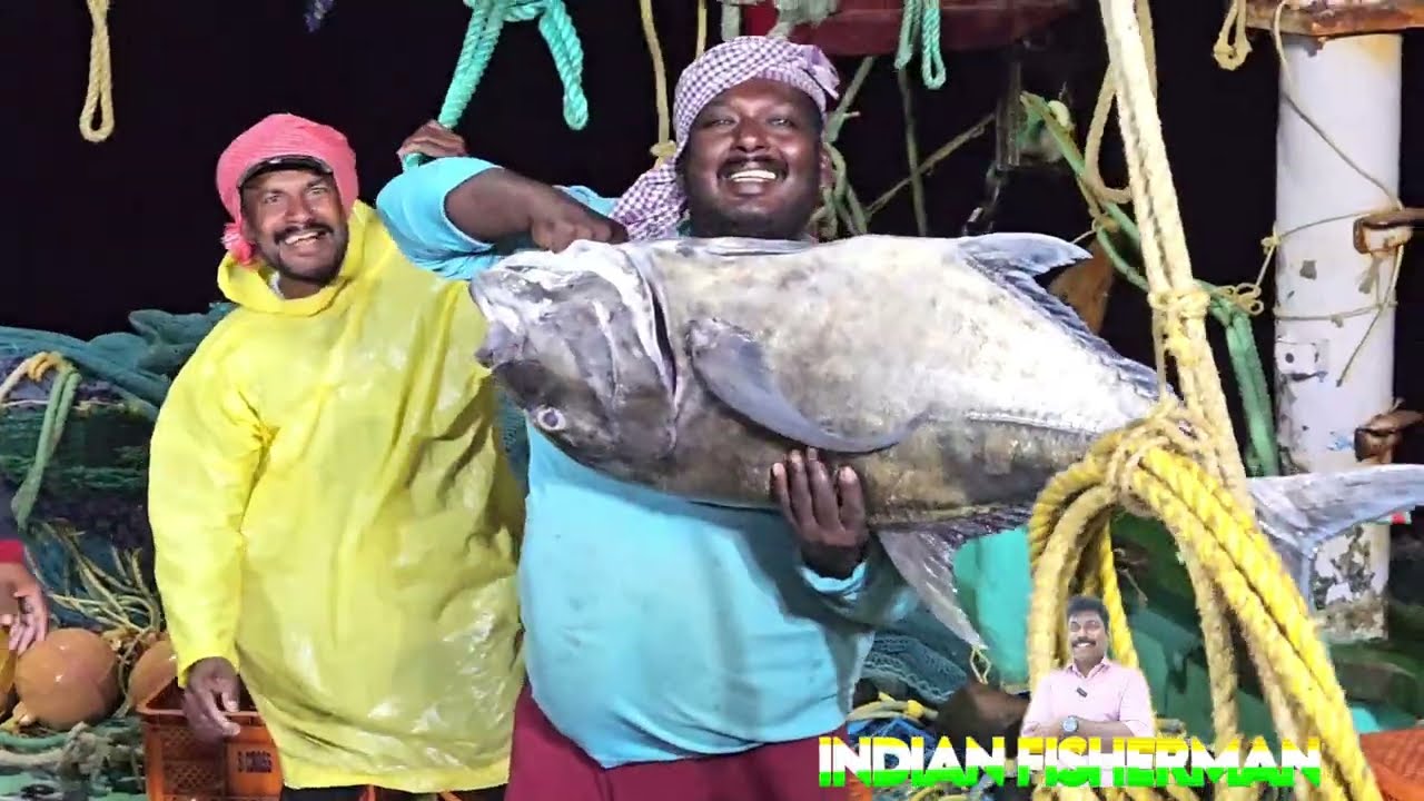 «Рыбы разновидности крэваллиджек, богатые омега-3 жирными кислотами, были выловлены индийскими тр...