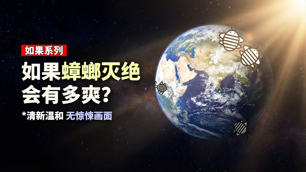 小强消失术！！！（无虫画面版）