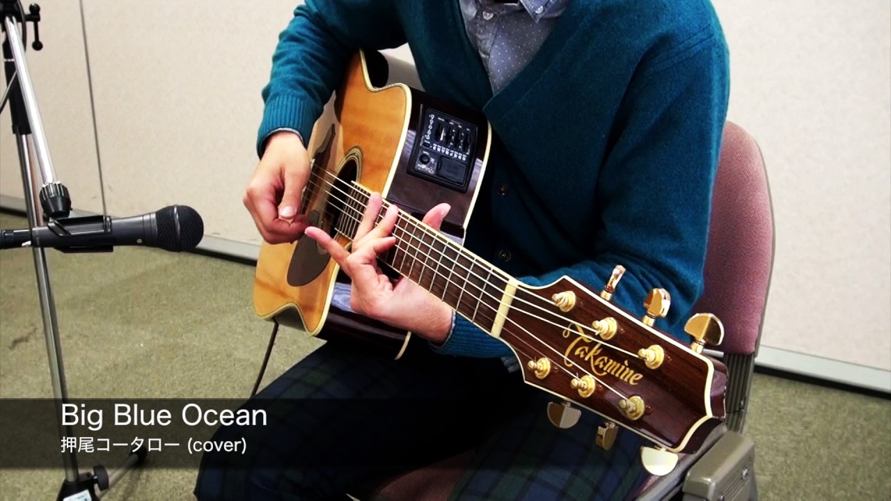 Big Blue Ocean/押尾コータロー (cover)