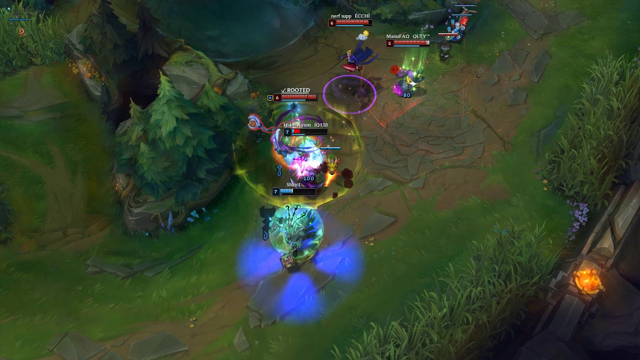 Seju Jungle