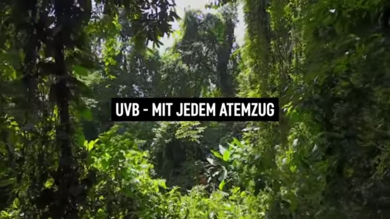 UVB - Mit jedem Atemzug (Lyric Video German)