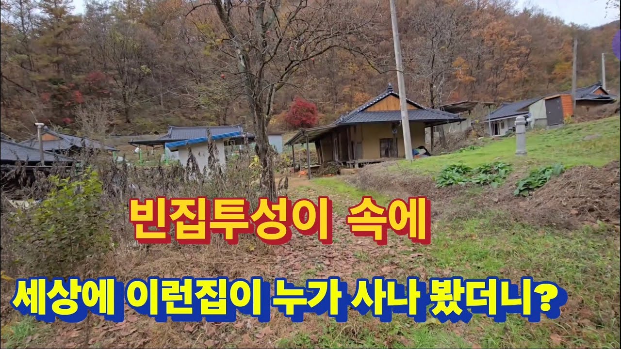 인기척없는 빈집투성이 속에 세상에 이런집이 누가 사시나 봤더니?