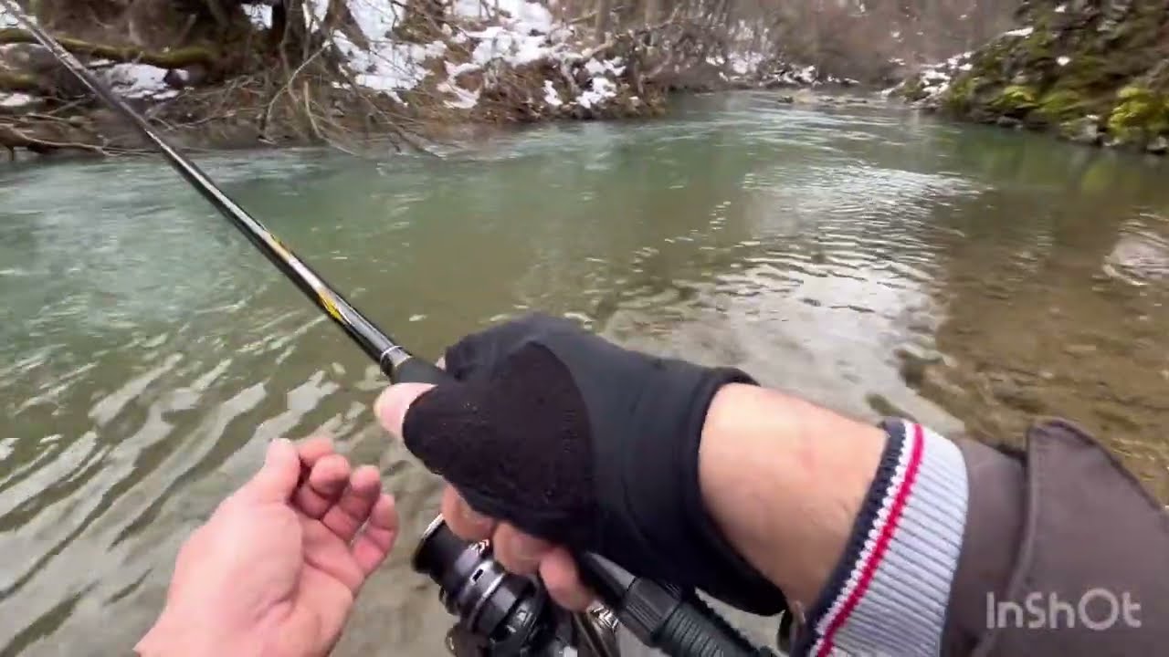 Kačenje mladice u divoti kanjona Ibra!#fishing #srbija#fish