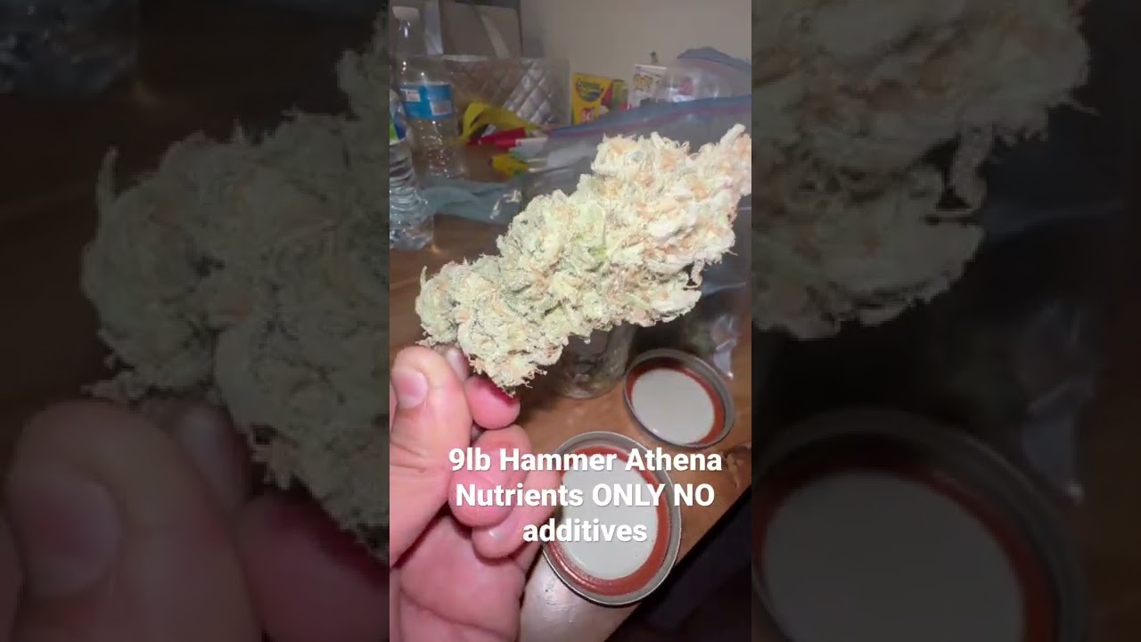 Athena Nutrients Only No additives