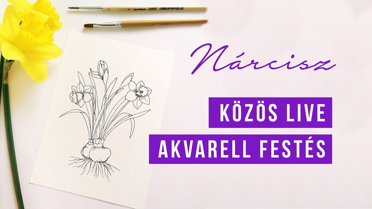 KÖZÖS FESTÉS - Nárcisz botanikai illusztráció  | akvarell festés kezdőknek