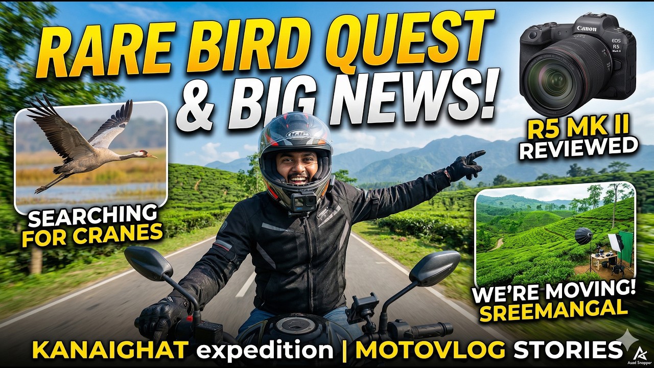 I'm Back! Capturing the Rare Common Crane & Moving to Srimangal | Moto Vlog Sylhet