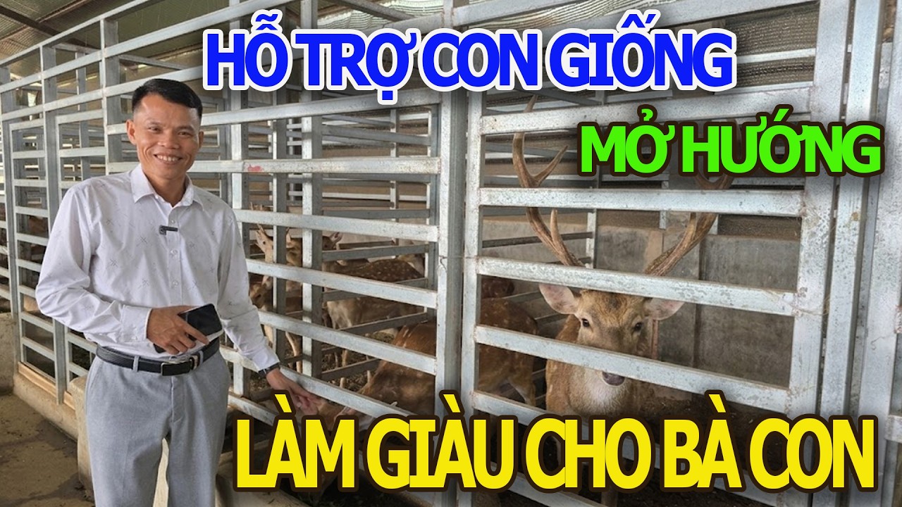 Trang Trại Hươu Đồng Nai Liên Kết Hỗ Trợ Con Giống Mở Hướng Làm Giàu Cho Bà Con /Sẵn Đầu Ra Đầu Vào