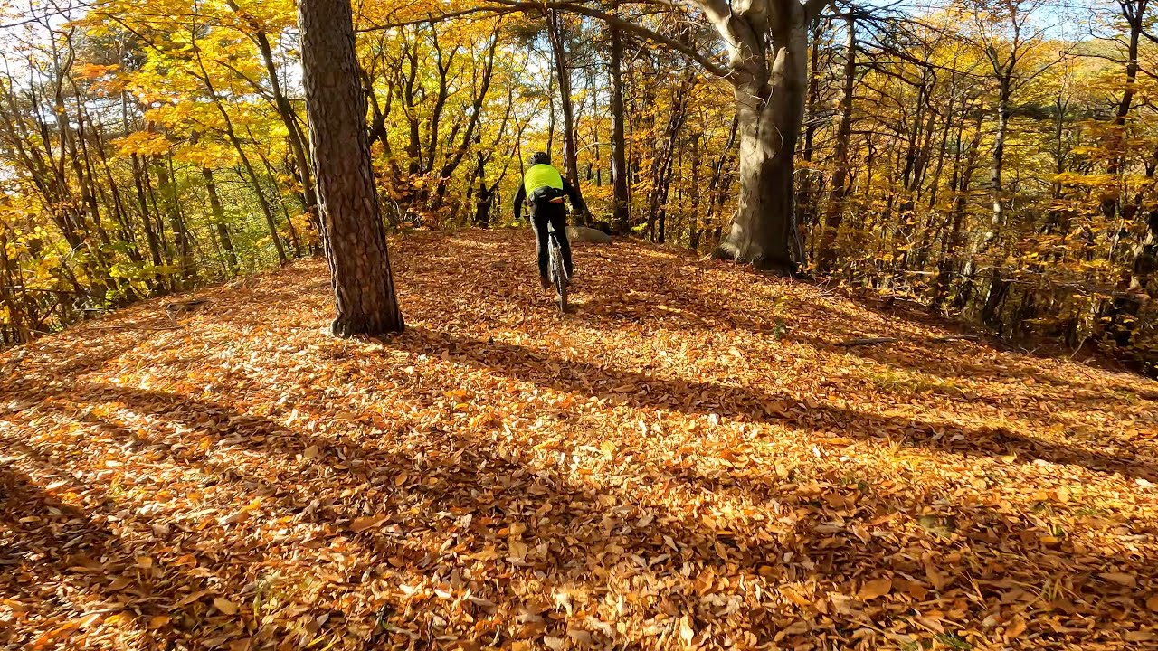 Enduro MTB nel parco della spina verde di Como