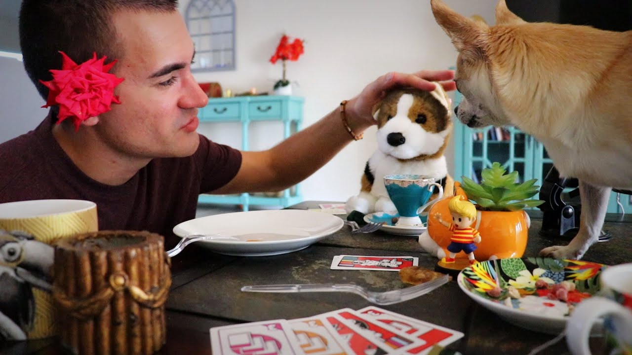 Having a Tea Party With My Dog (ASMR)