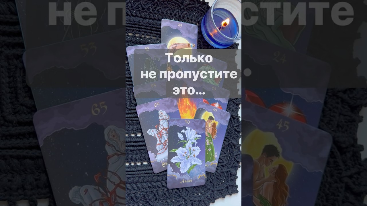 ❗️Срочные Новости... 🌓✨ с Ниной #таро #tarot #таролог