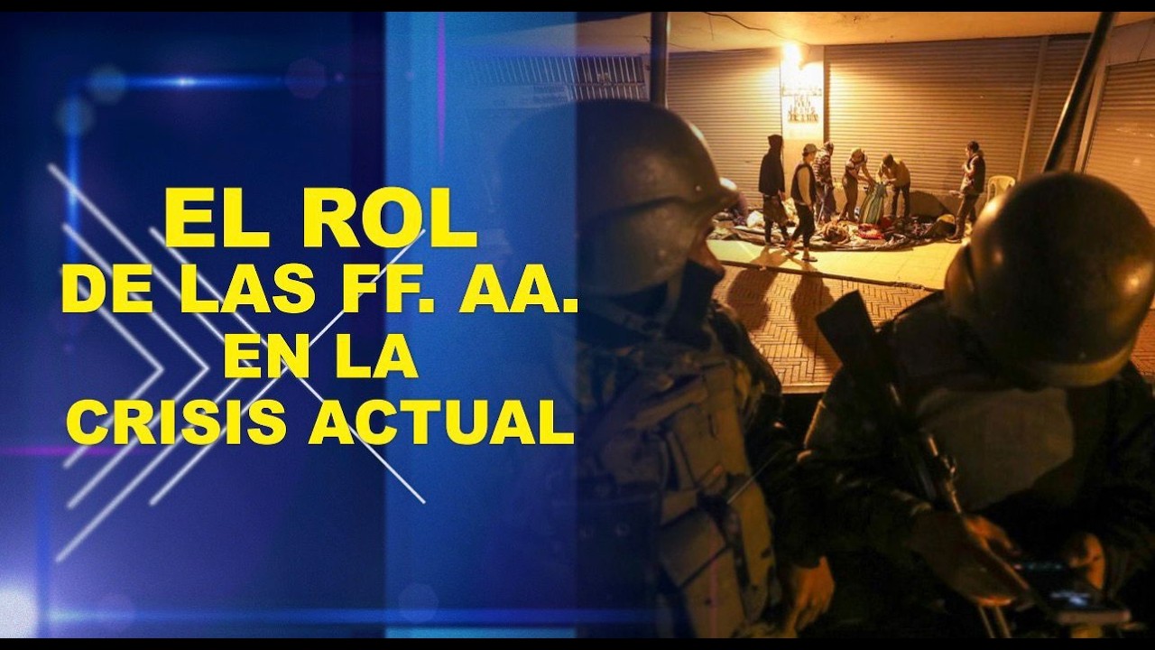 VASM - EL ROL DE LAS FF.AA. EN LA CRISIS ACTUAL