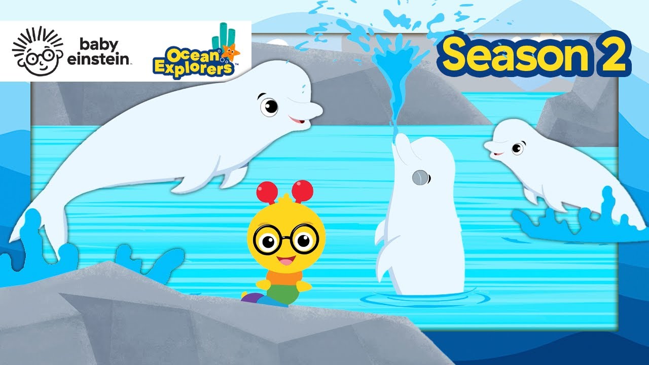 Let's Explore: Sounds With Beluga Whales! | Ocean Explorers Season 2 | Baby Einstein | Educational