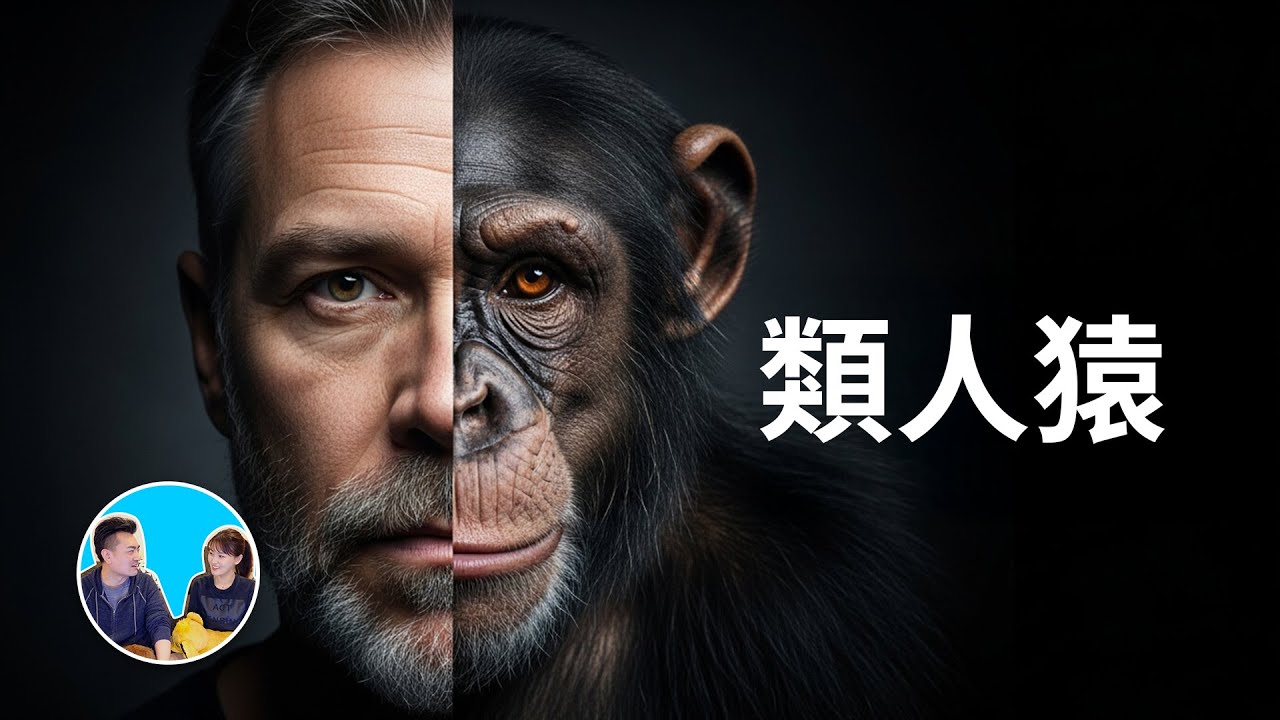 最接近人的生物 | 老高與小茉 Mr & Mrs Gao